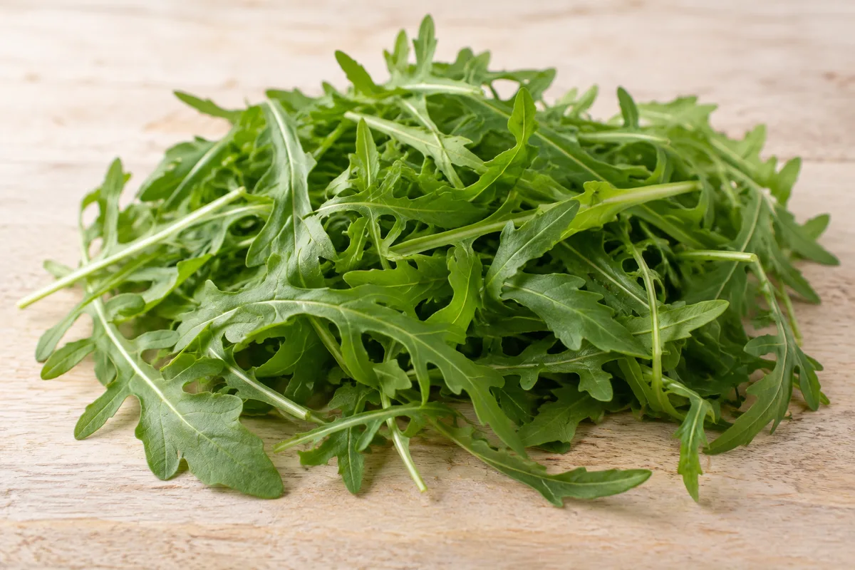 rukola — przykładowy wygląd produktu